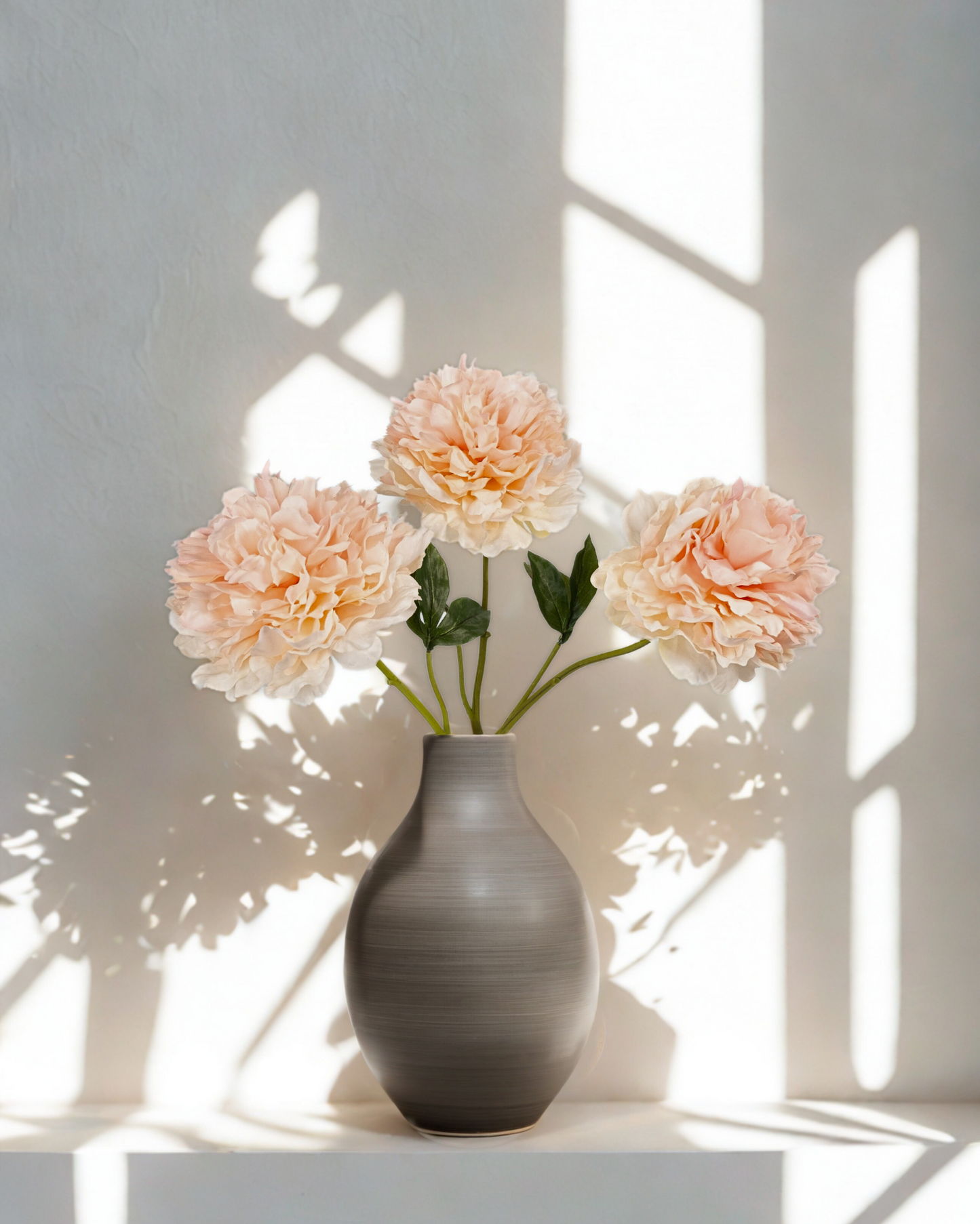 THE COTTON CANDY PEONIES
