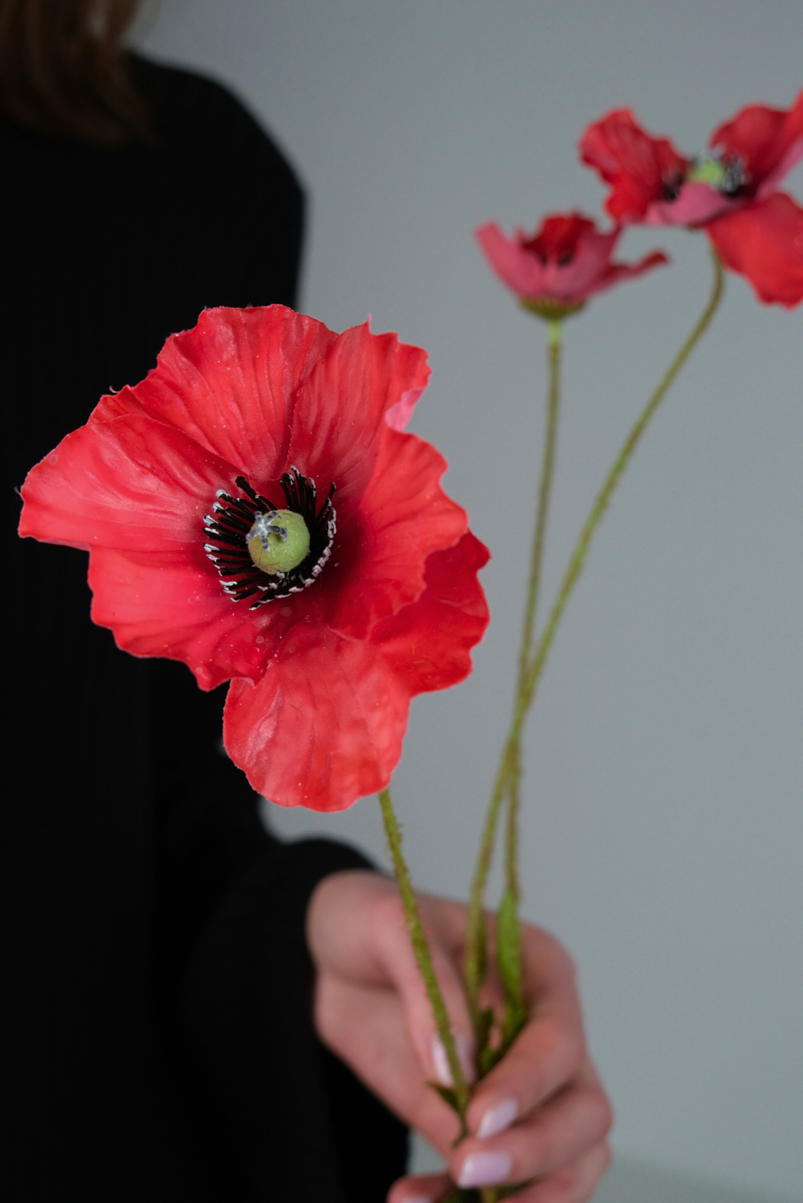 POPPY FIELD