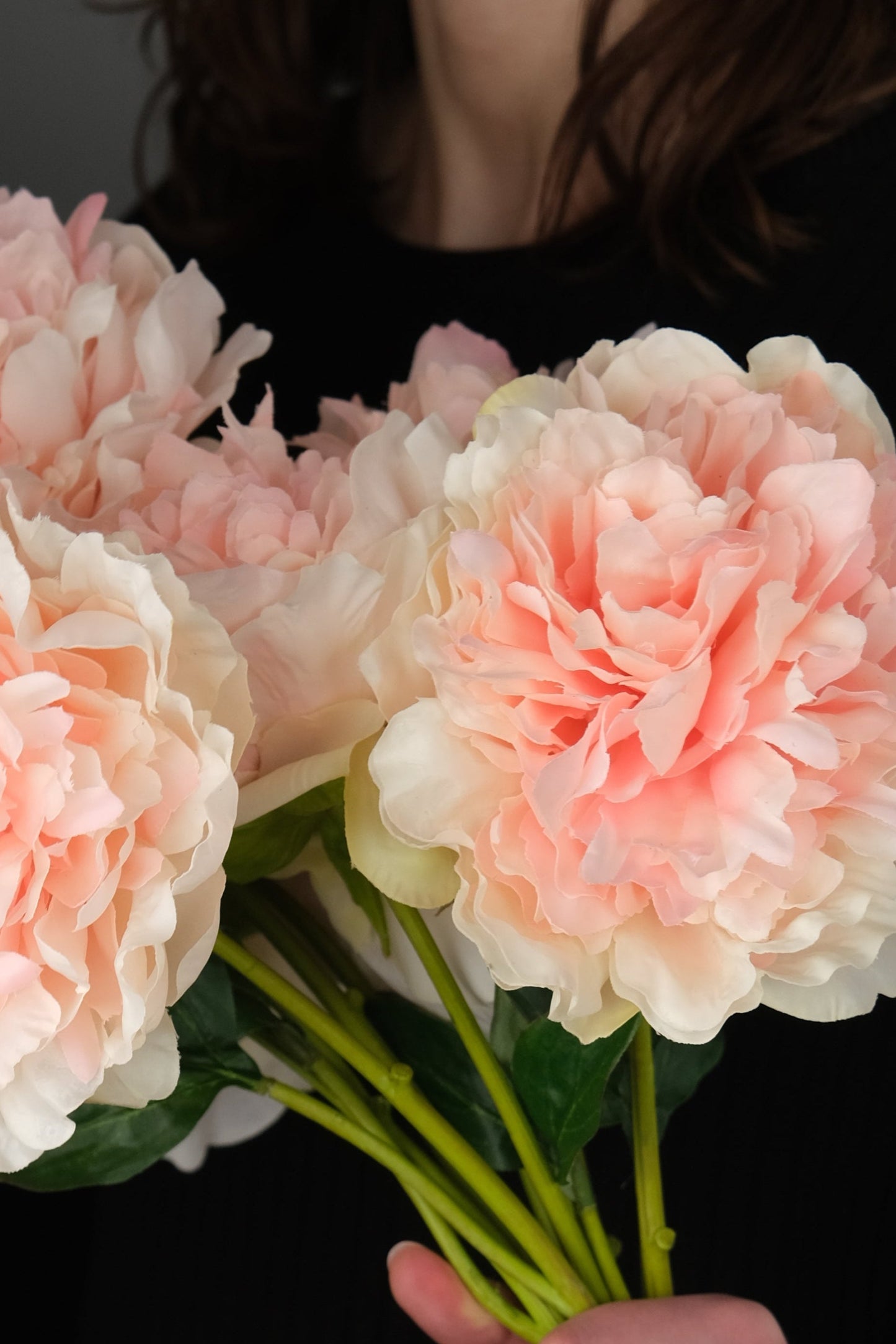 THE COTTON CANDY PEONIES
