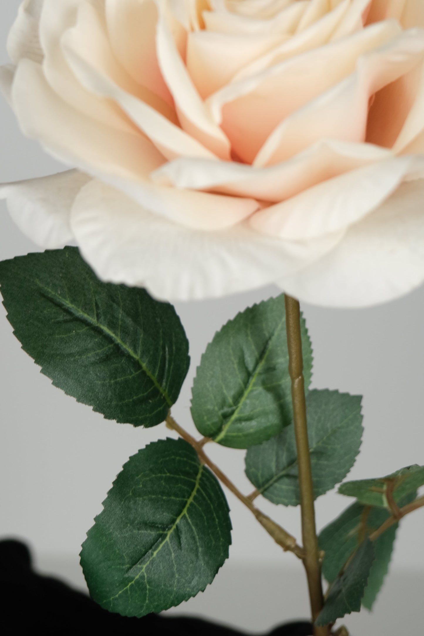 ROSEWATER