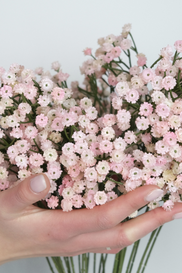 SOFT TOUCH