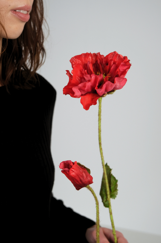 THE QUEEN POPPY