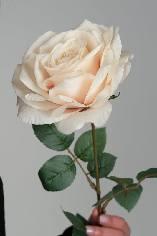 ROSEWATER